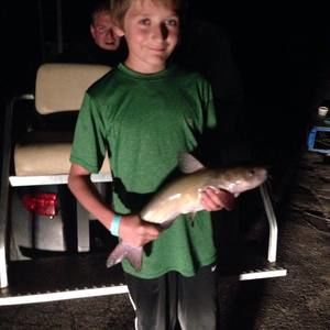 Meet your Posher, Gage